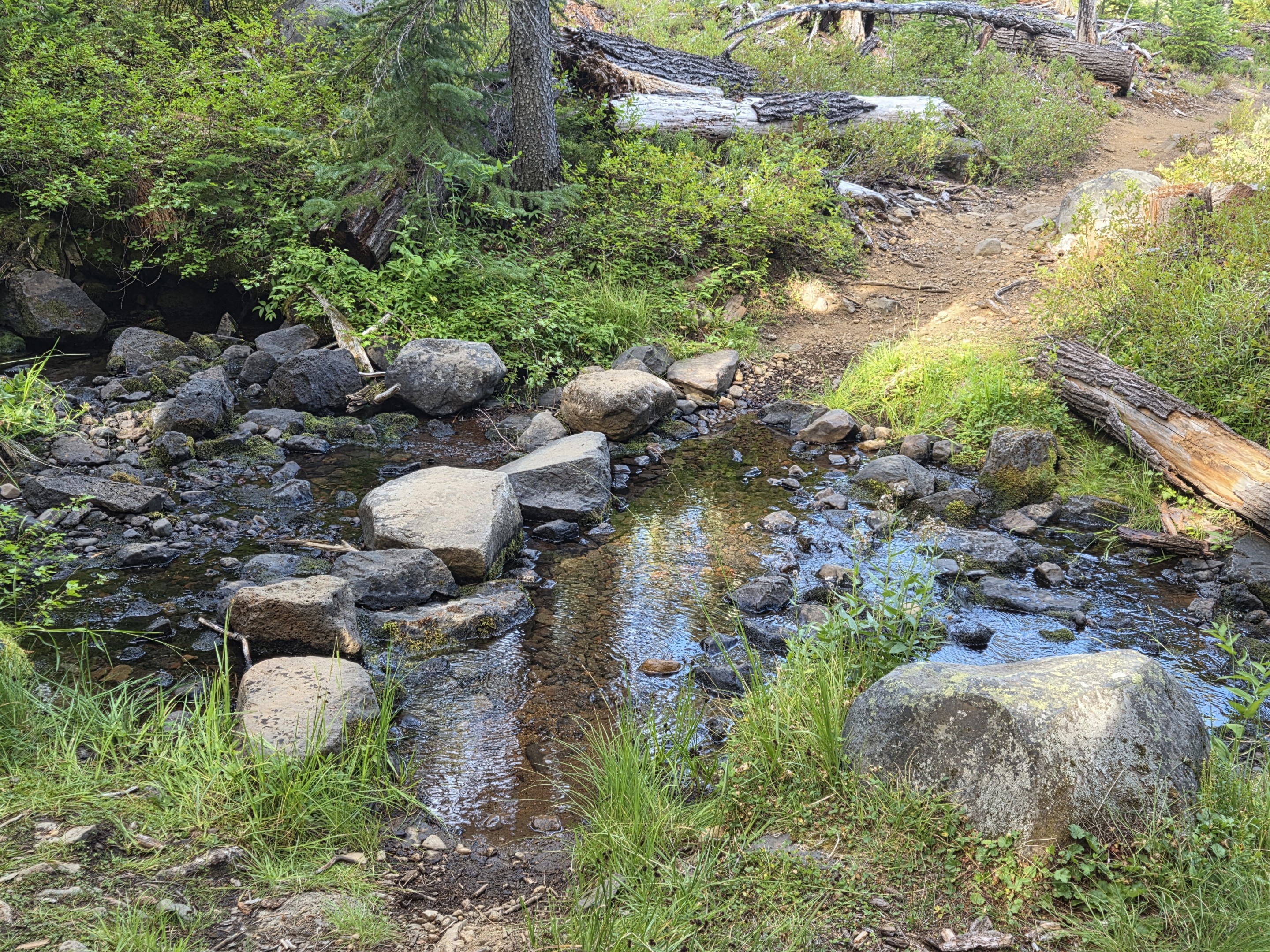Creek crossing along the Maiden Peak Trail in Oregon