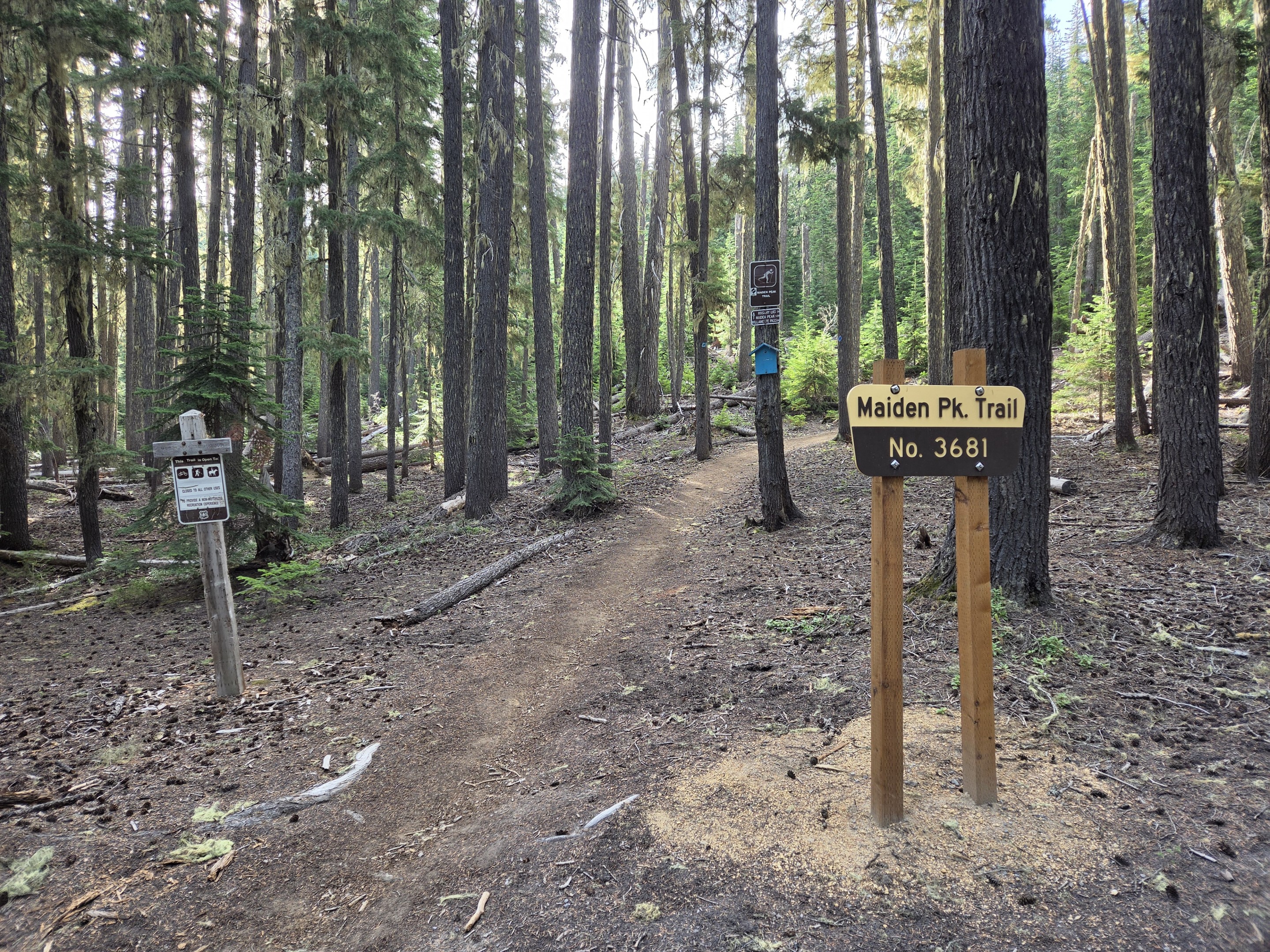Maiden Peak Trail No. 3681 trailhead near Gold Lake Road in Oregon